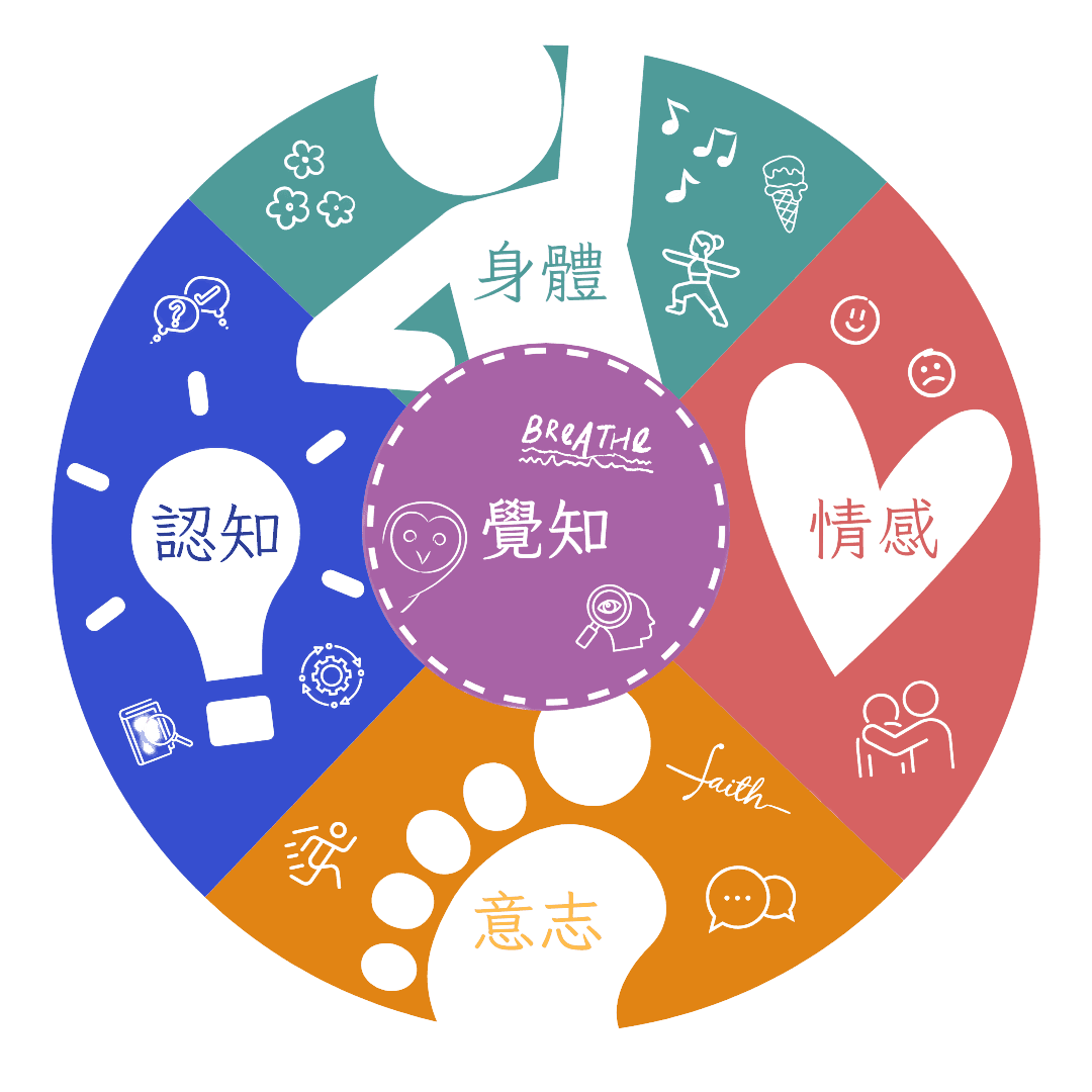 Mindfulness concept diagram showing body, cognition, awareness, emotion and intention